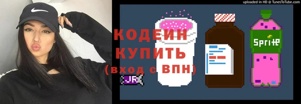 амф Новозыбков