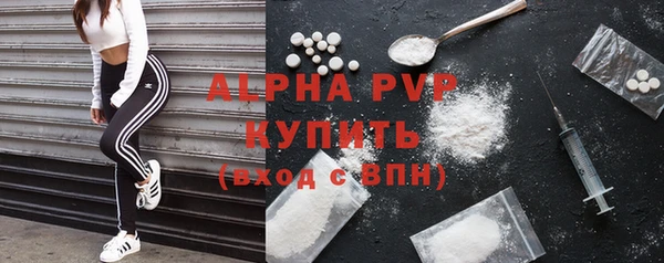 амф Новозыбков