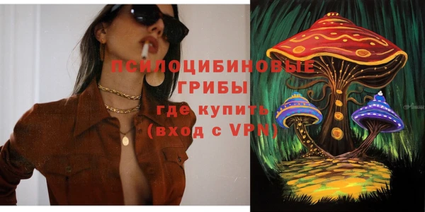 амф Новозыбков