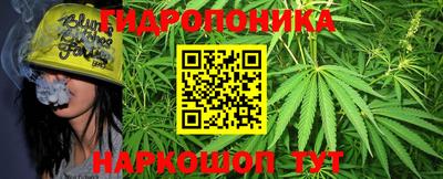 сатива Балаково