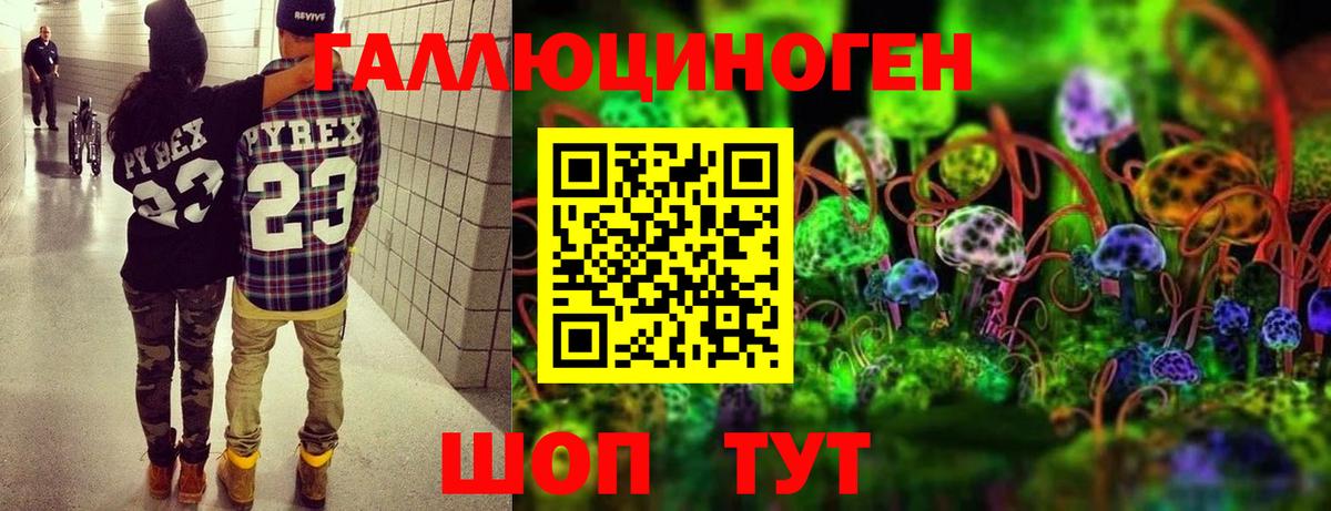 Псилоцибиновые грибы Psilocybine cubensis  Вход с VPN  дарнет шоп  Владимир 